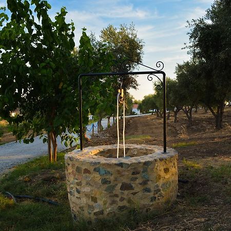 Melrinitas - Turismo Rural Serpa Exterior photo