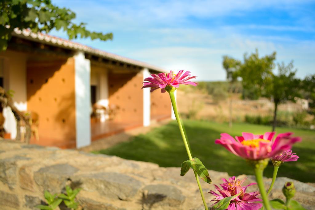 Melrinitas - Turismo Rural Serpa Exterior photo